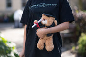 Bear - Graduation