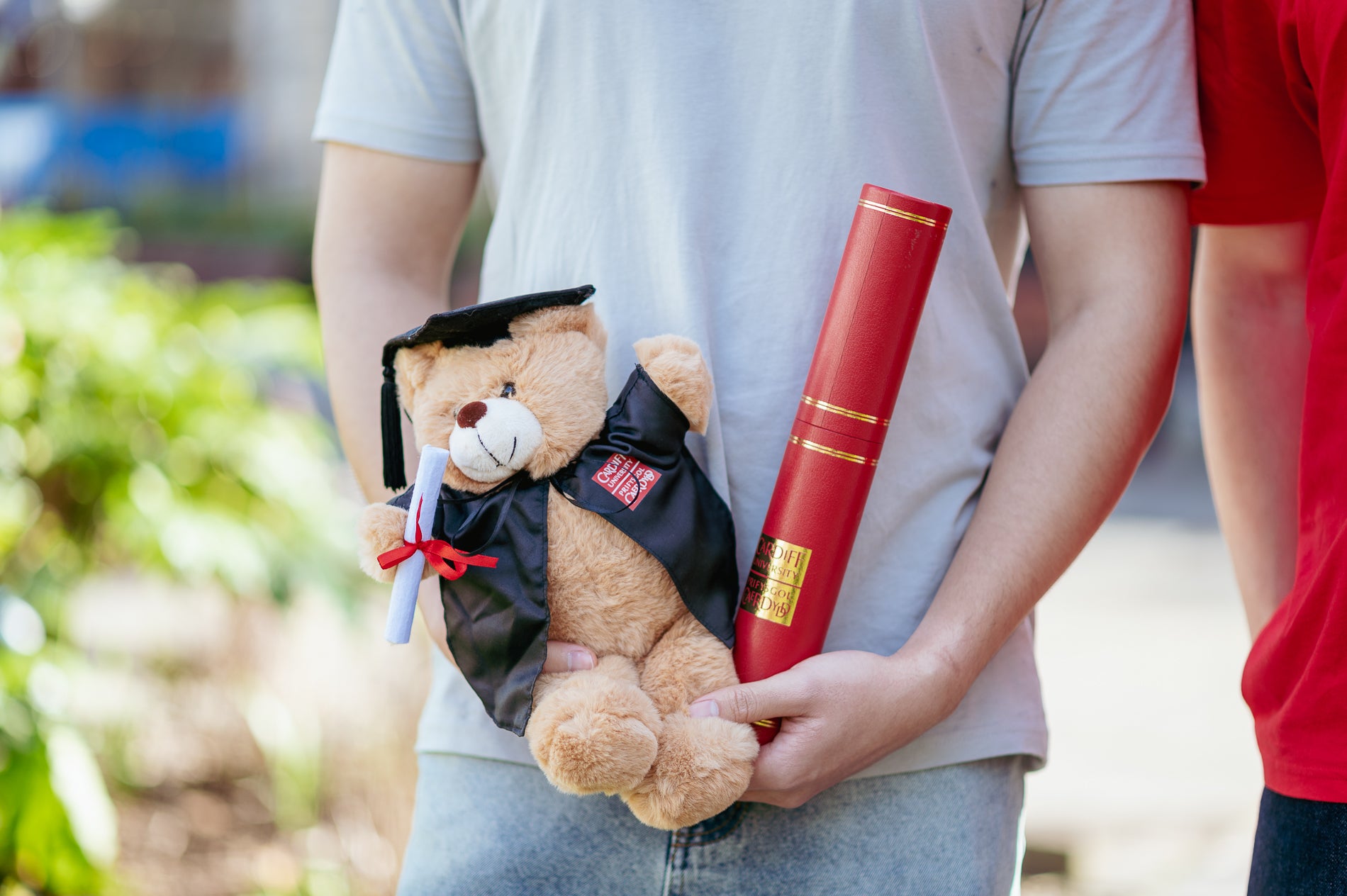 Bear - Graduation