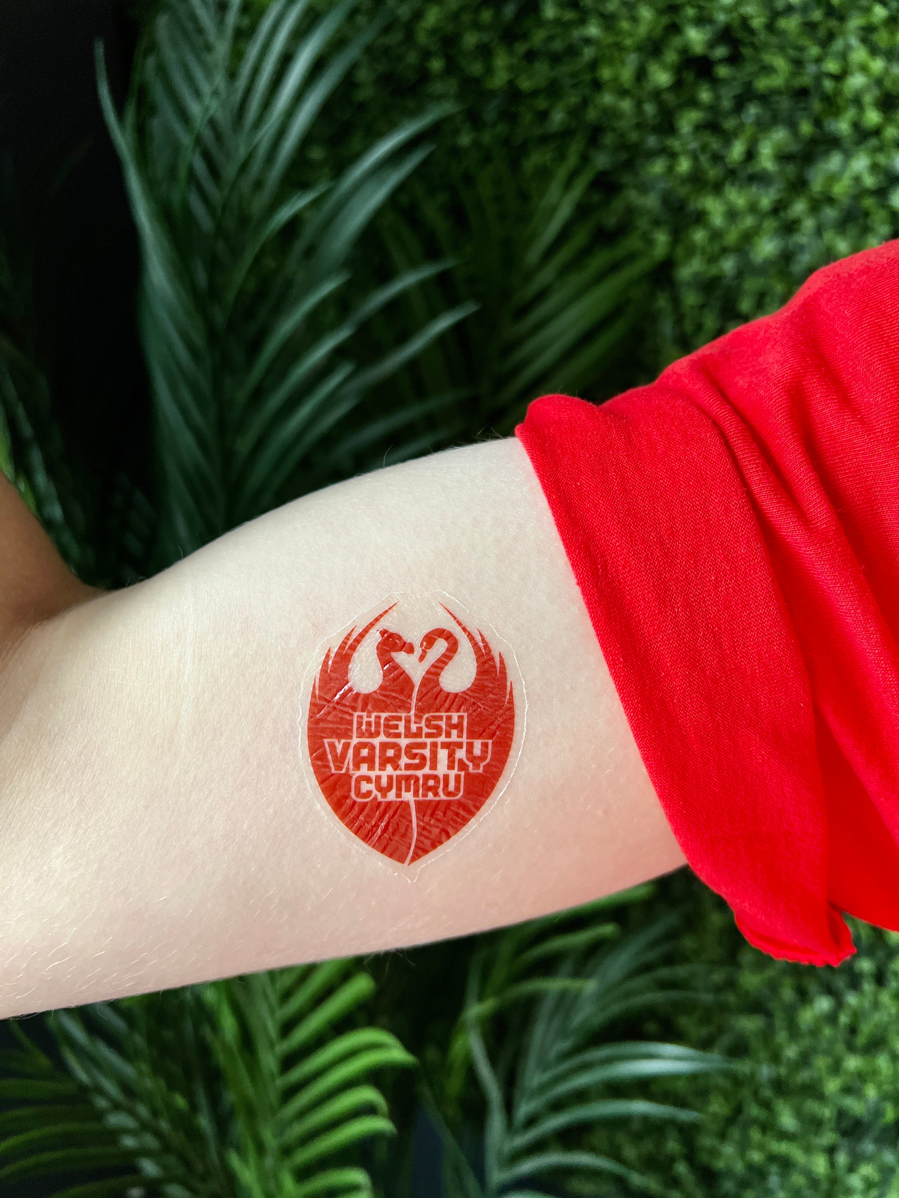 Tattoo - Varsity Crest