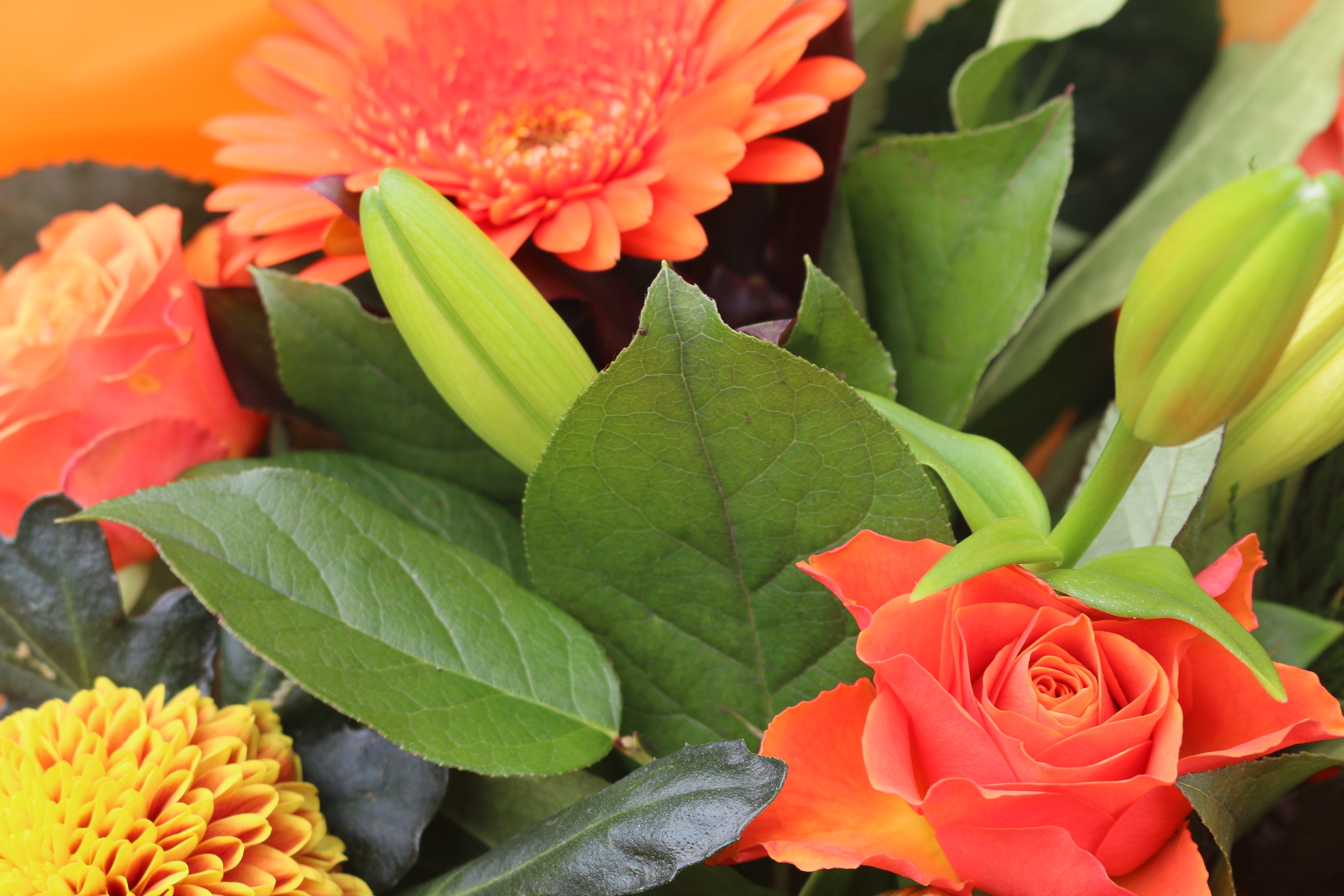 Graduation Flower Bouquets – Pre-Order