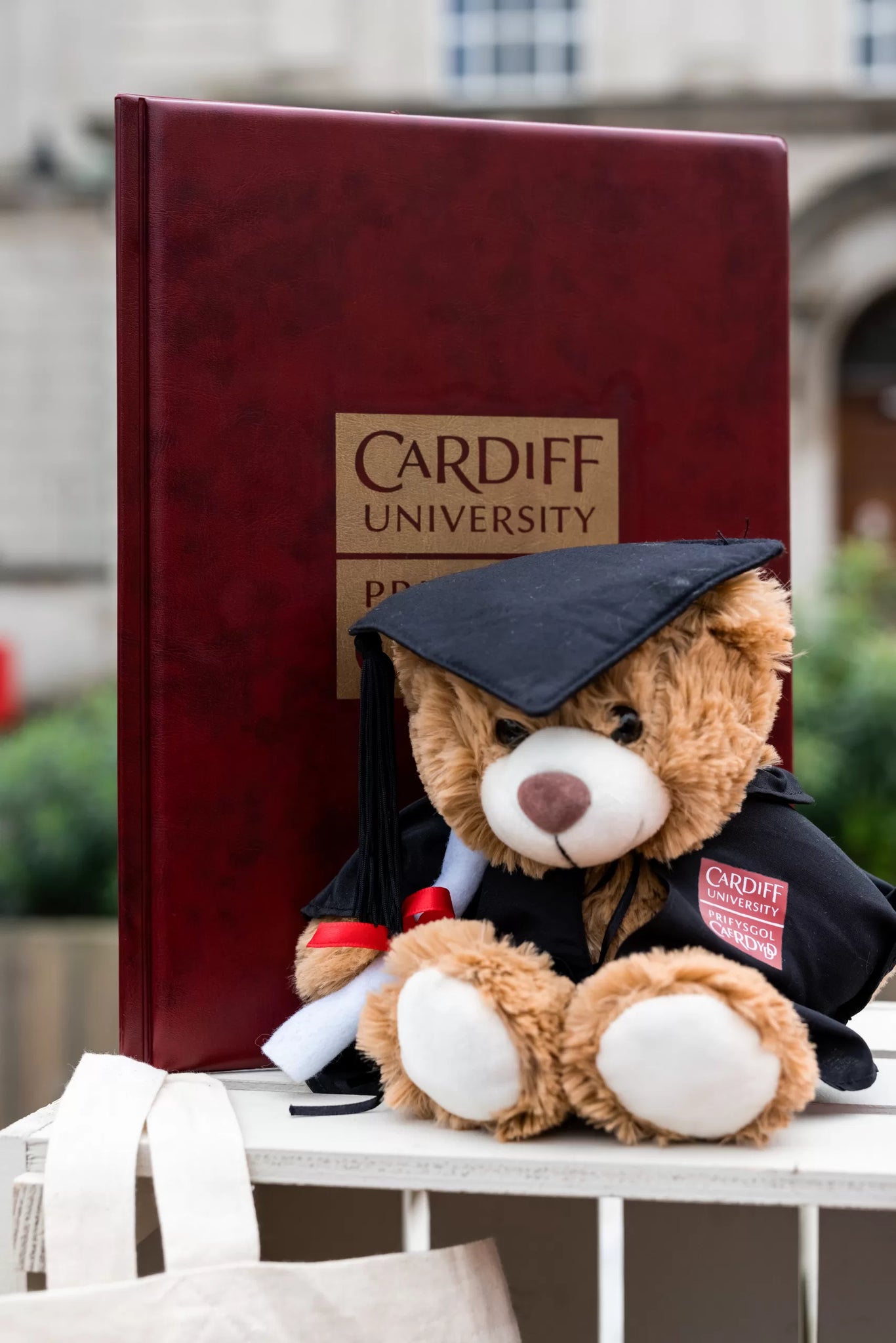 Bear - Graduation Love Cardiff Bear - Graduation Love Cardiff