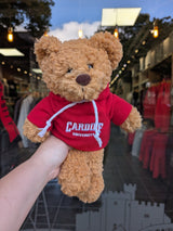 Cardiff University Hooded Bear