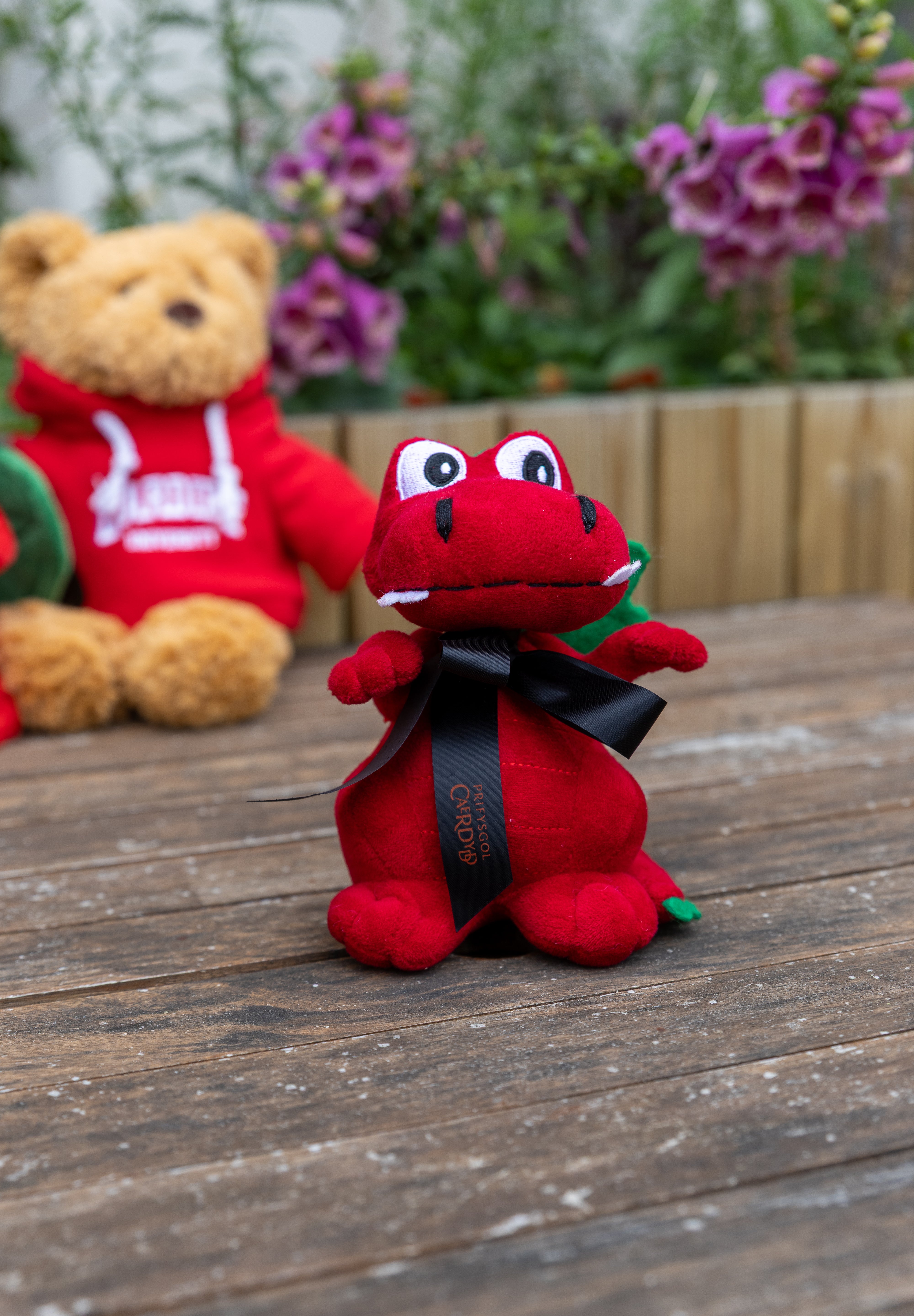 Dragon Teddy