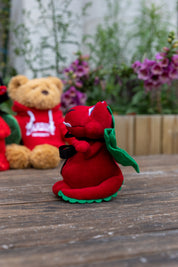 Dragon Teddy