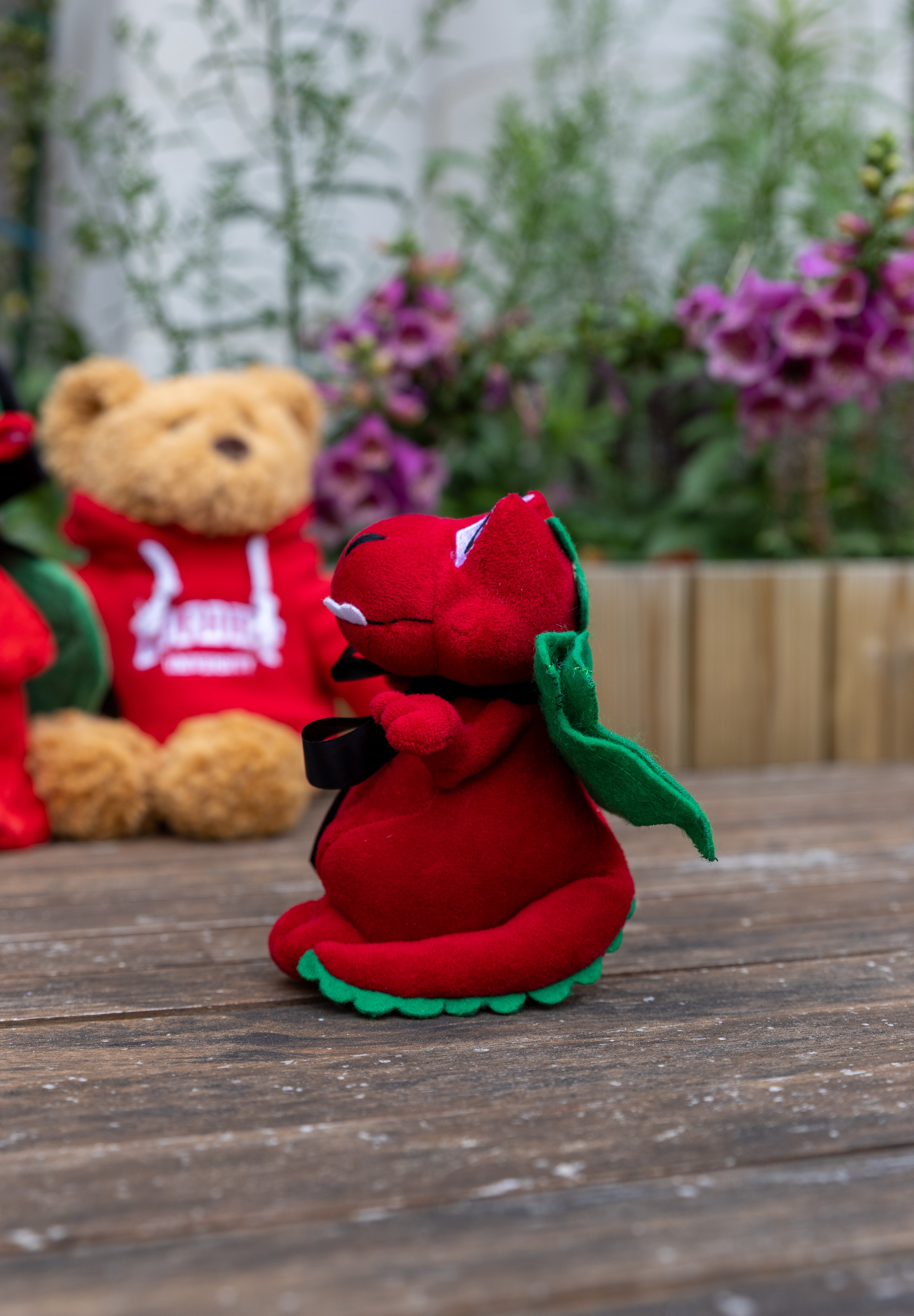 Dragon Teddy