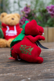 Dragon Teddy