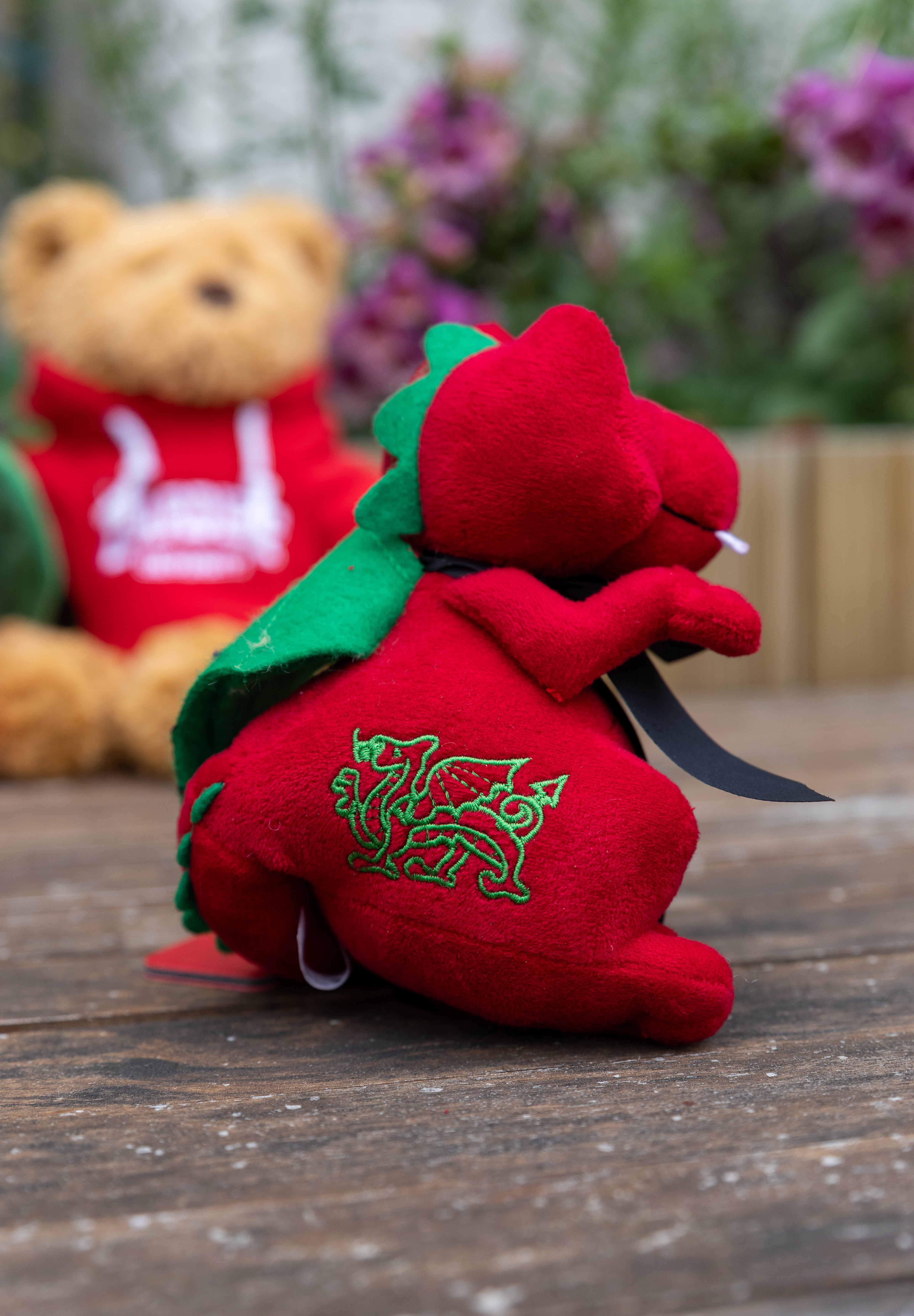Dragon Teddy
