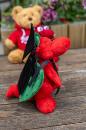 Dragon - Graduation