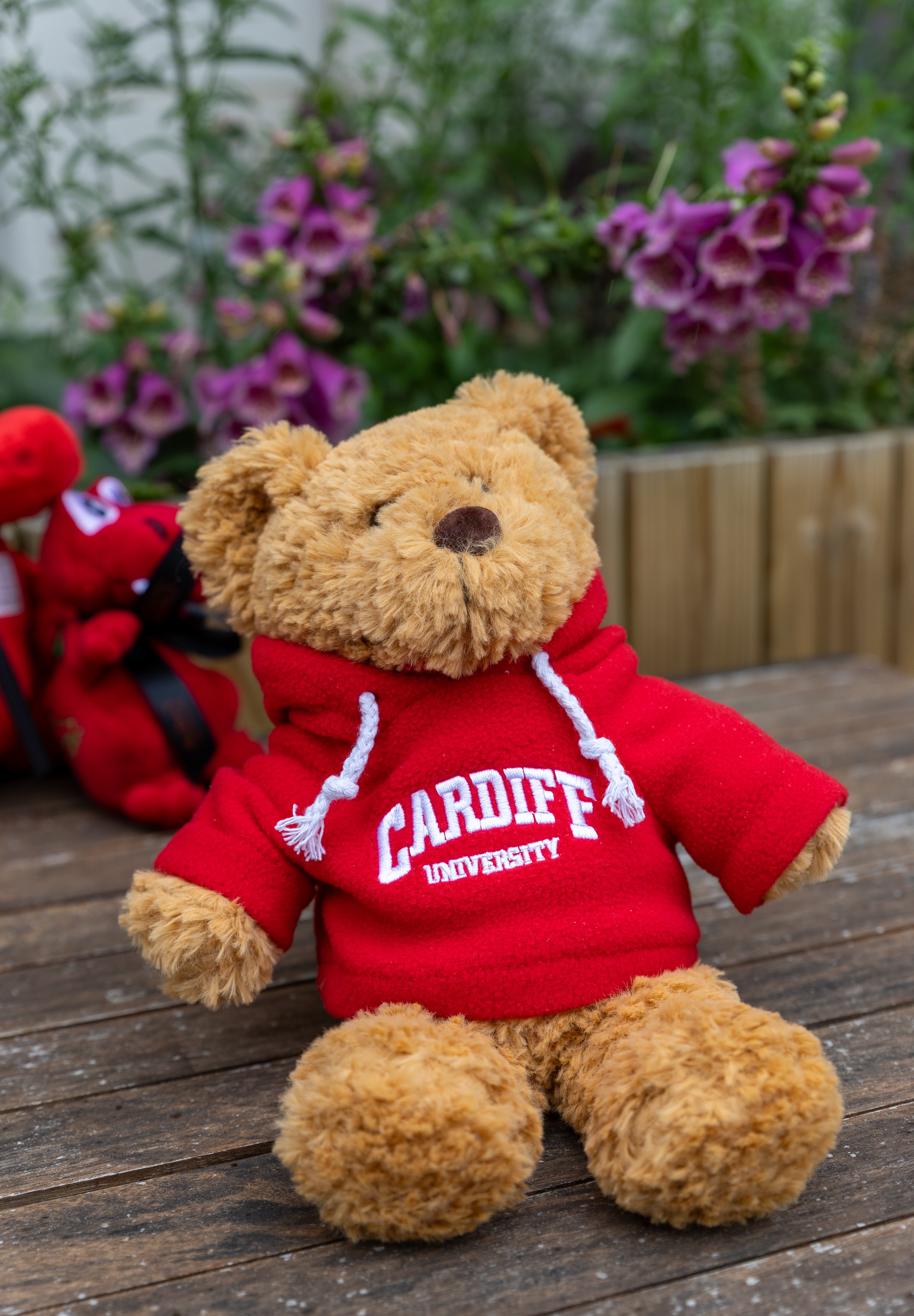 CU Hoody Bear