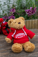 CU Hoody Bear